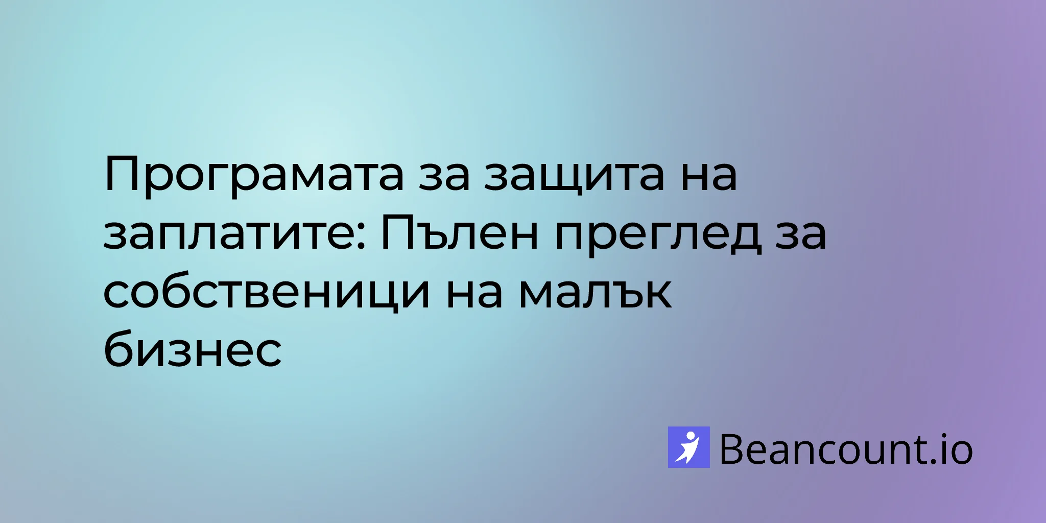 2026-02-13-paycheck-protection-program-complete-overview-guide