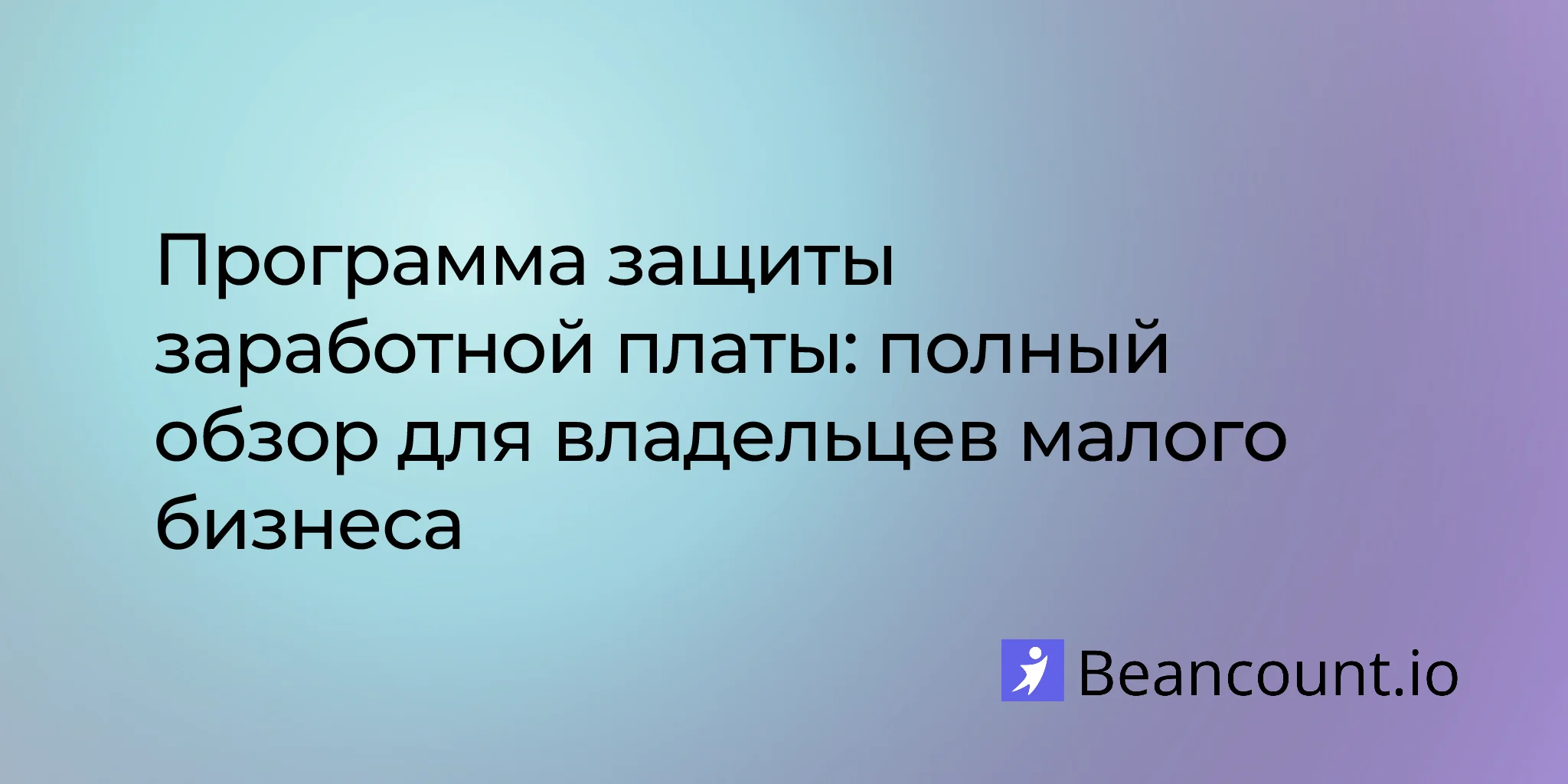 2026-02-13-paycheck-protection-program-complete-overview-guide