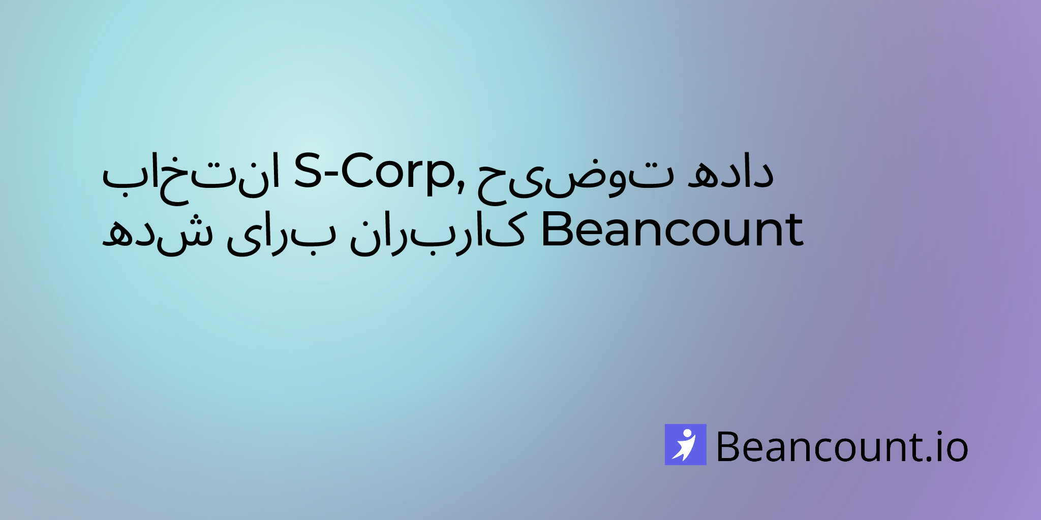 2025-08-08-s-corp-election