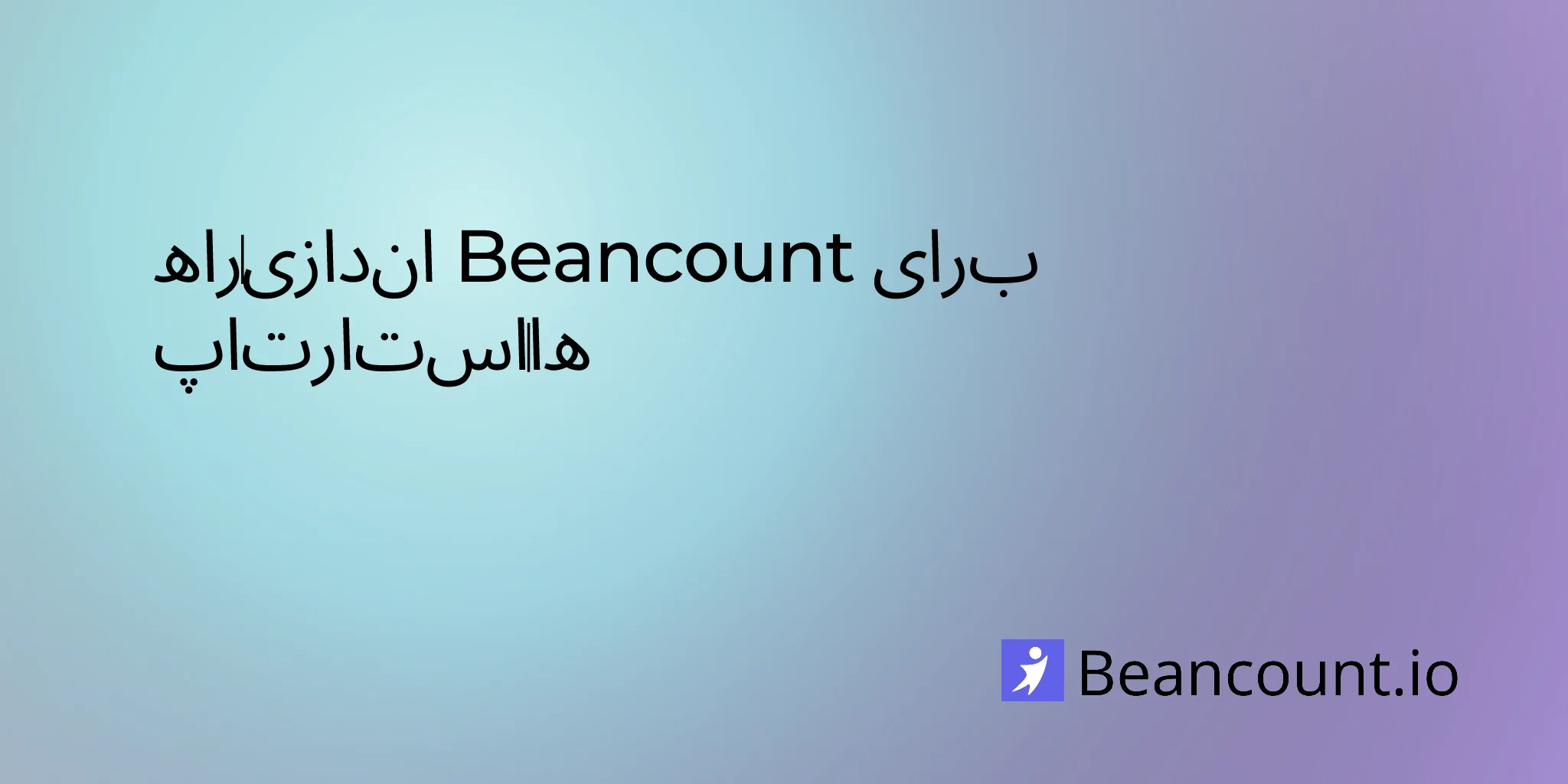 beancount-setup-for-startups