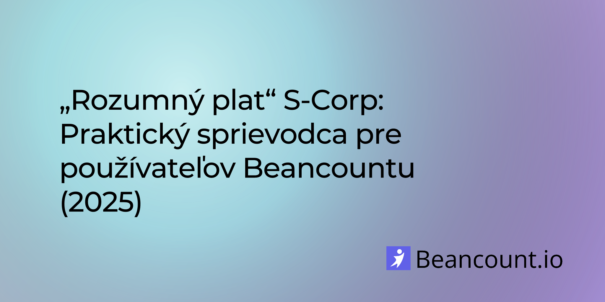 2025-07-24-s-corp-reasonable-salary