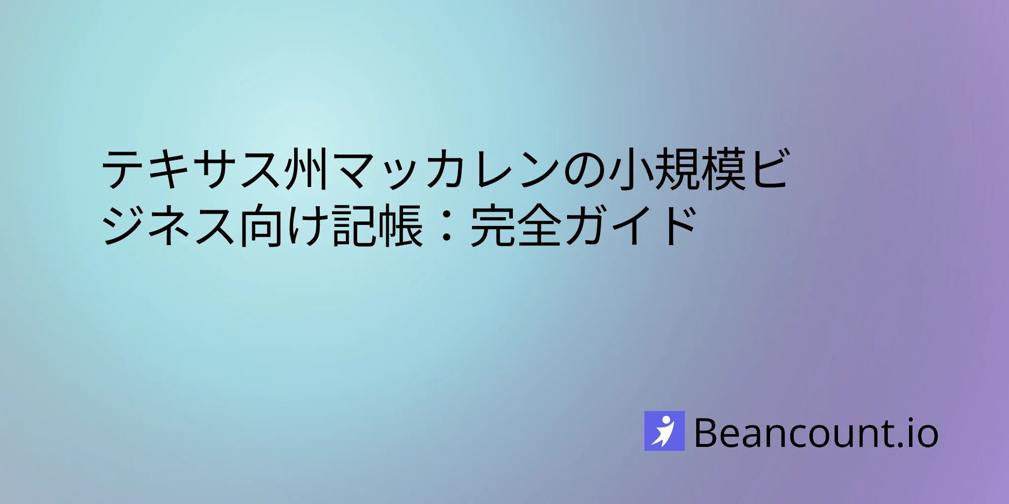 2026-03-11-テキサス州マッカレン における小規模ビジネスの記帳ガイド