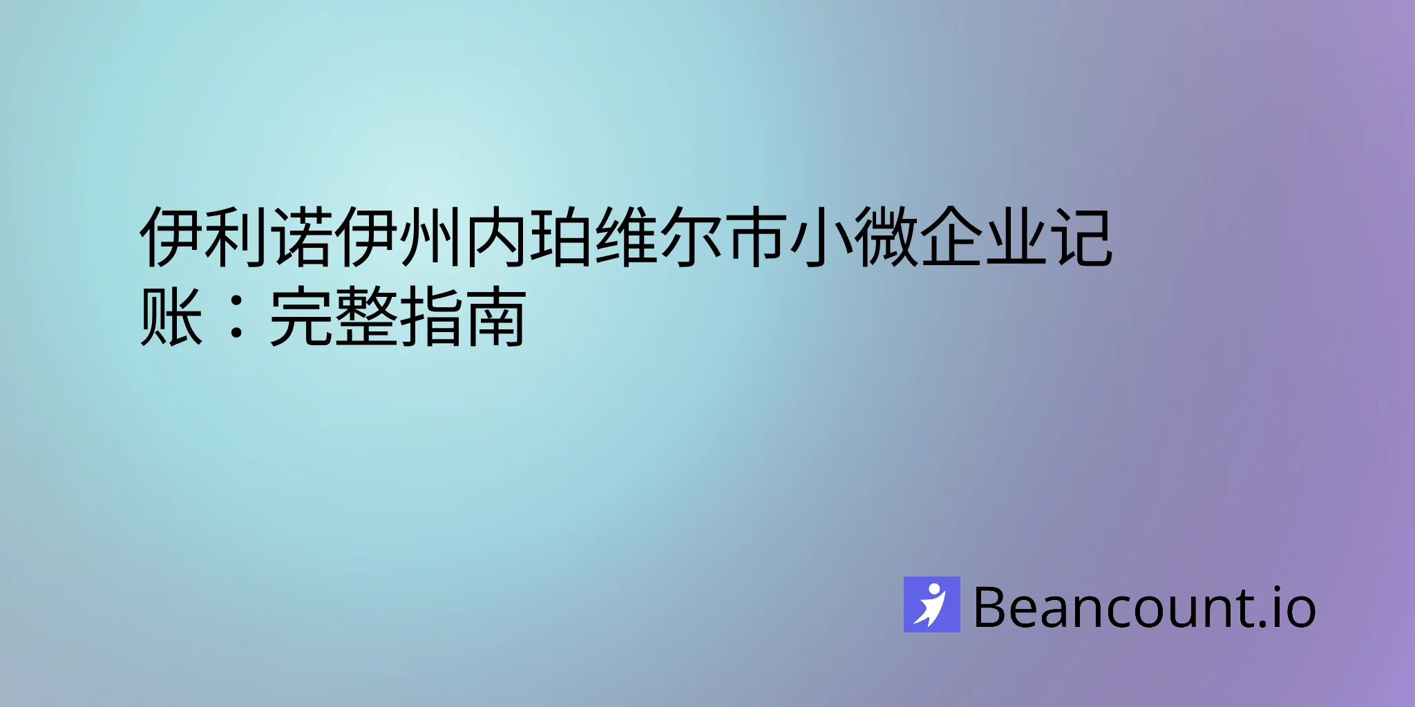 2026-03-09-伊利诺伊州内珀维尔小企业簿记指南