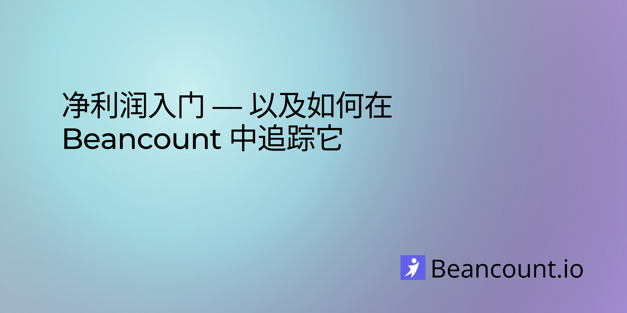 2020-03-12-net-income-101-how-to-track-it-in-beancount