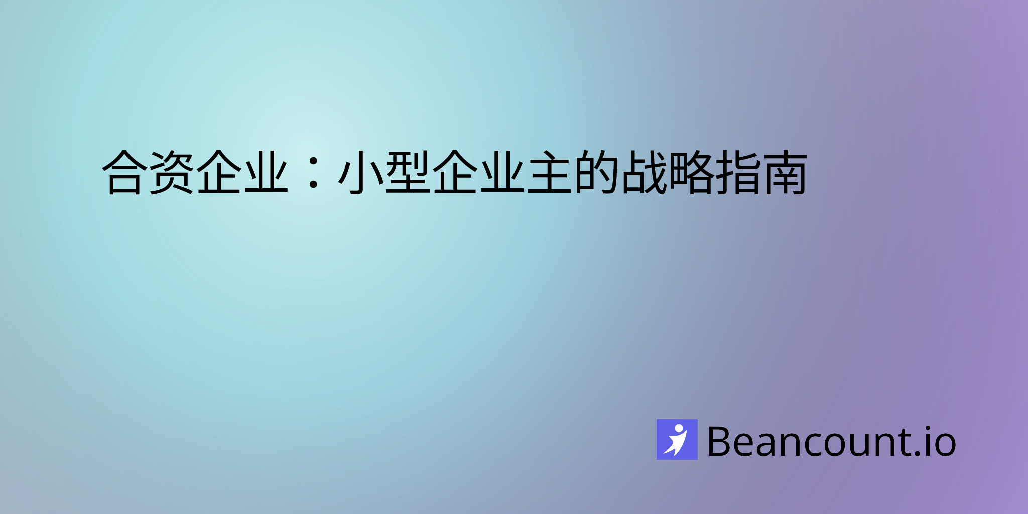 合资企业：小型企业主的战略指南