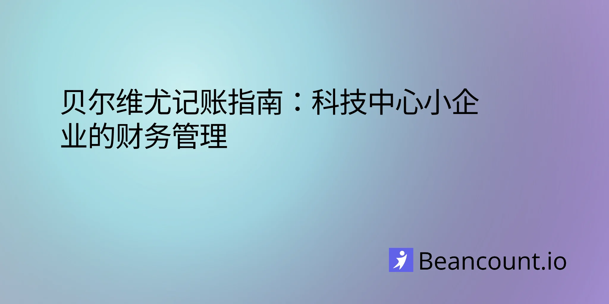 2026-02-24-贝尔维尤簿记指南-科技中心小企业