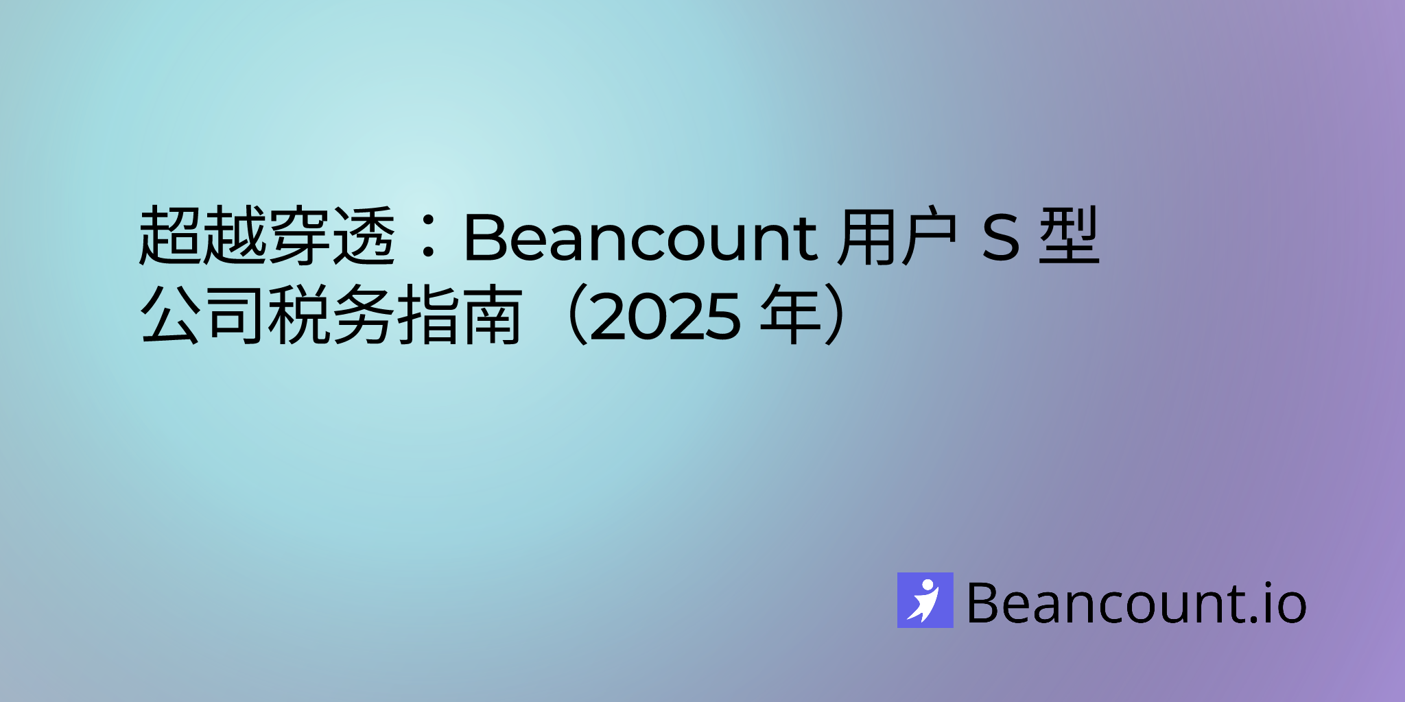2025-07-26-s-corp-tax-guide-for-beancount-users