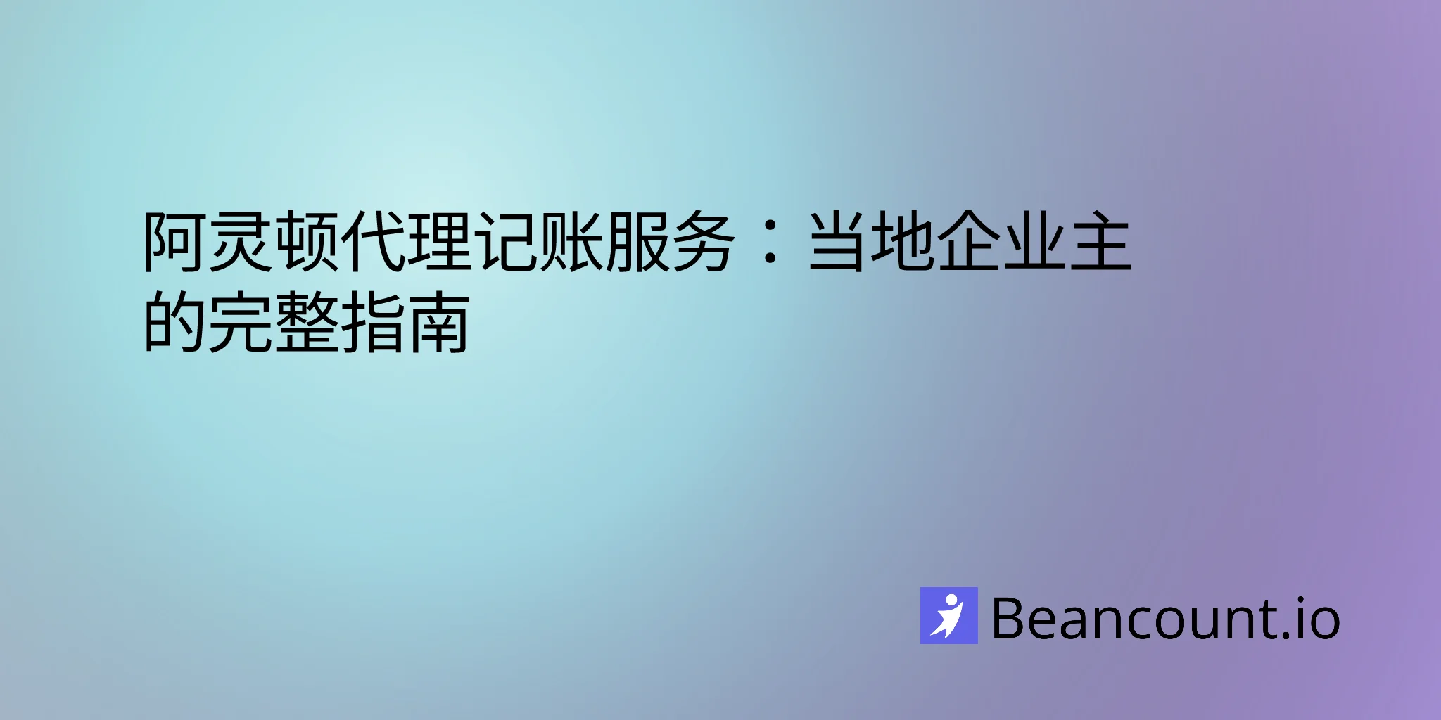 阿灵顿记账服务：当地企业主完整指南
