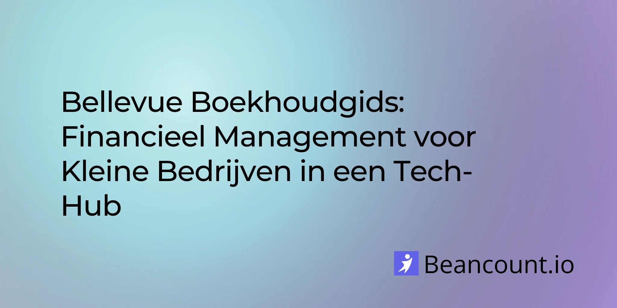 2026-02-24-bellevue-bookkeeping-guide-tech-hub-small-businesses