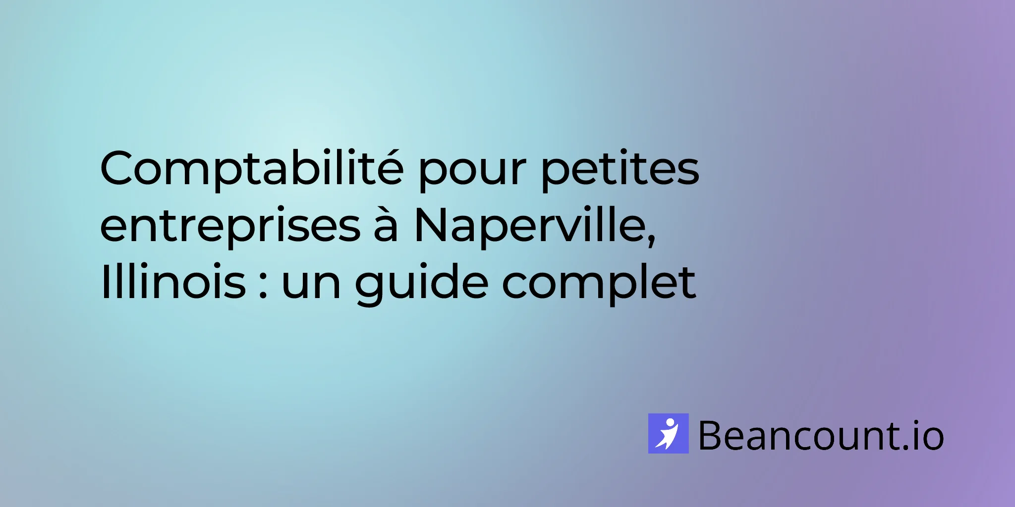 2026-03-09-naperville-illinois-small-business-bookkeeping-guide