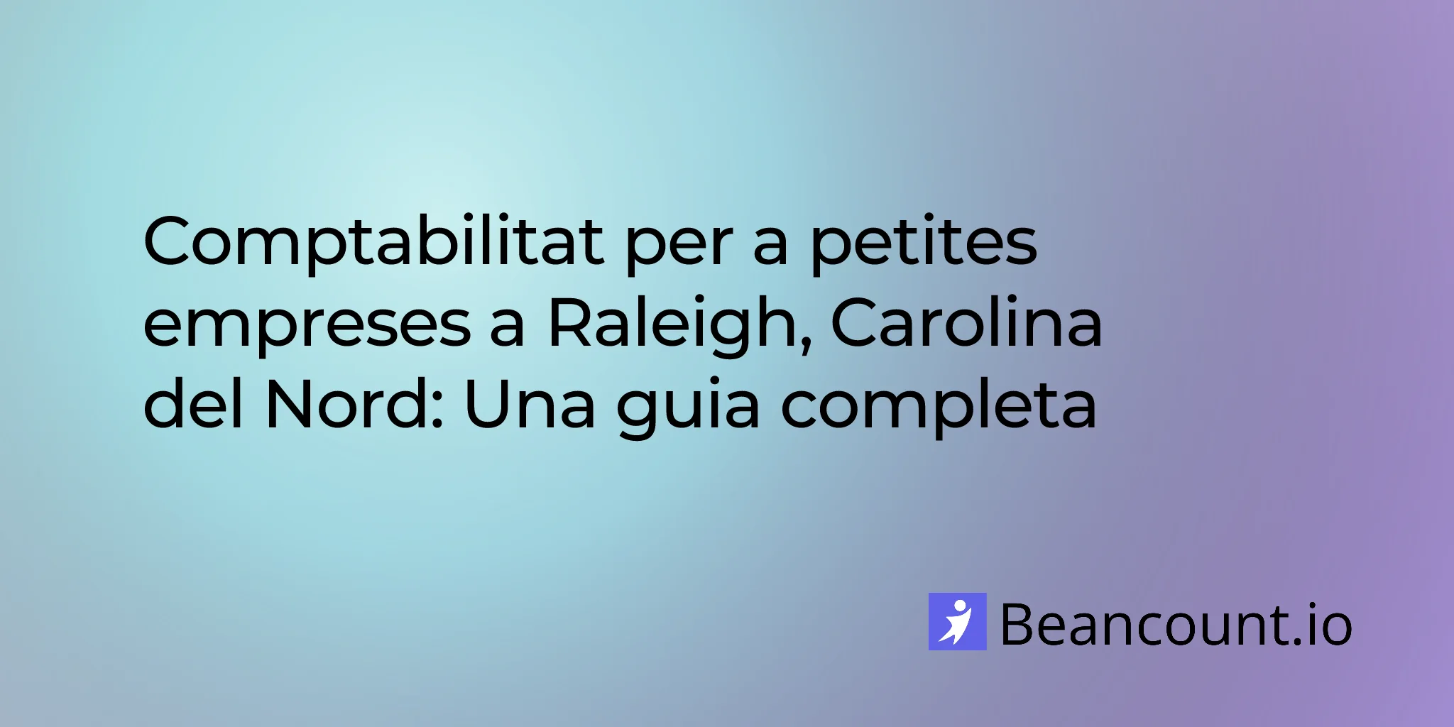 2026-03-09-raleigh-north-carolina-small-business-bookkeeping-guide