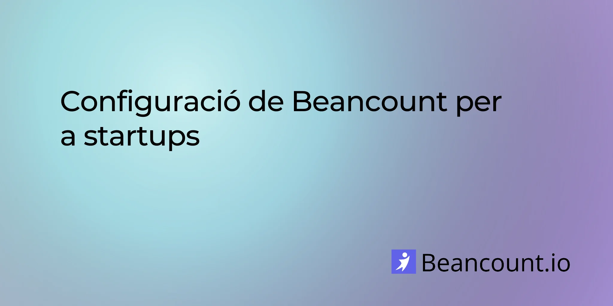 beancount-setup-for-startups