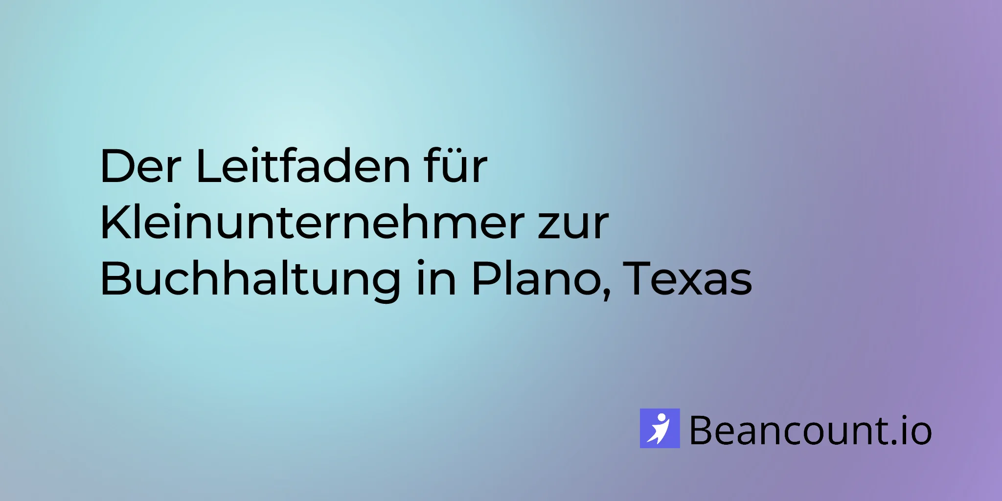 Leitfaden zur Buchhaltung für Kleinunternehmen in Plano, Texas