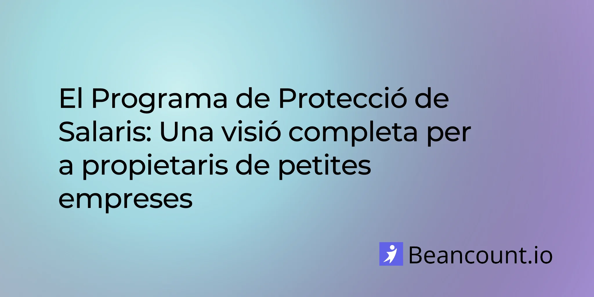 2026-02-13-paycheck-protection-program-complete-overview-guide