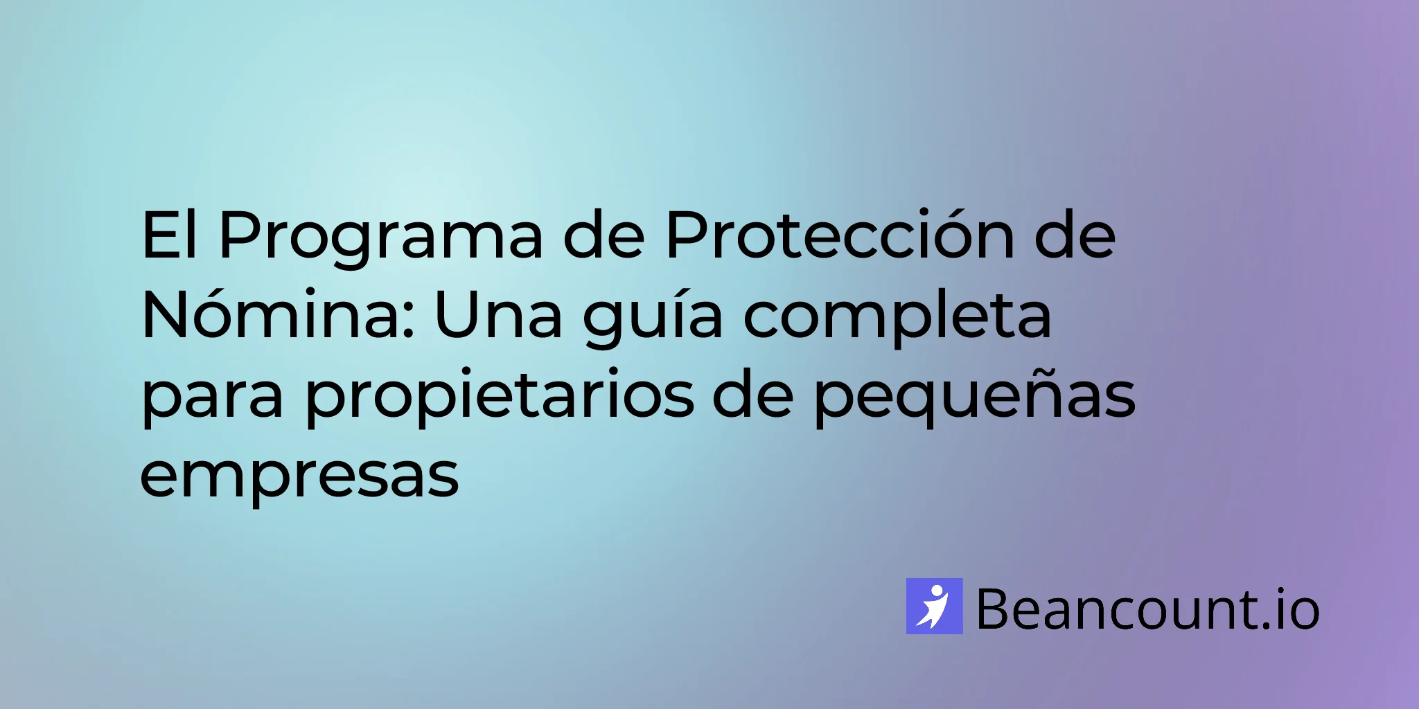 2026-02-13-paycheck-protection-program-complete-overview-guide