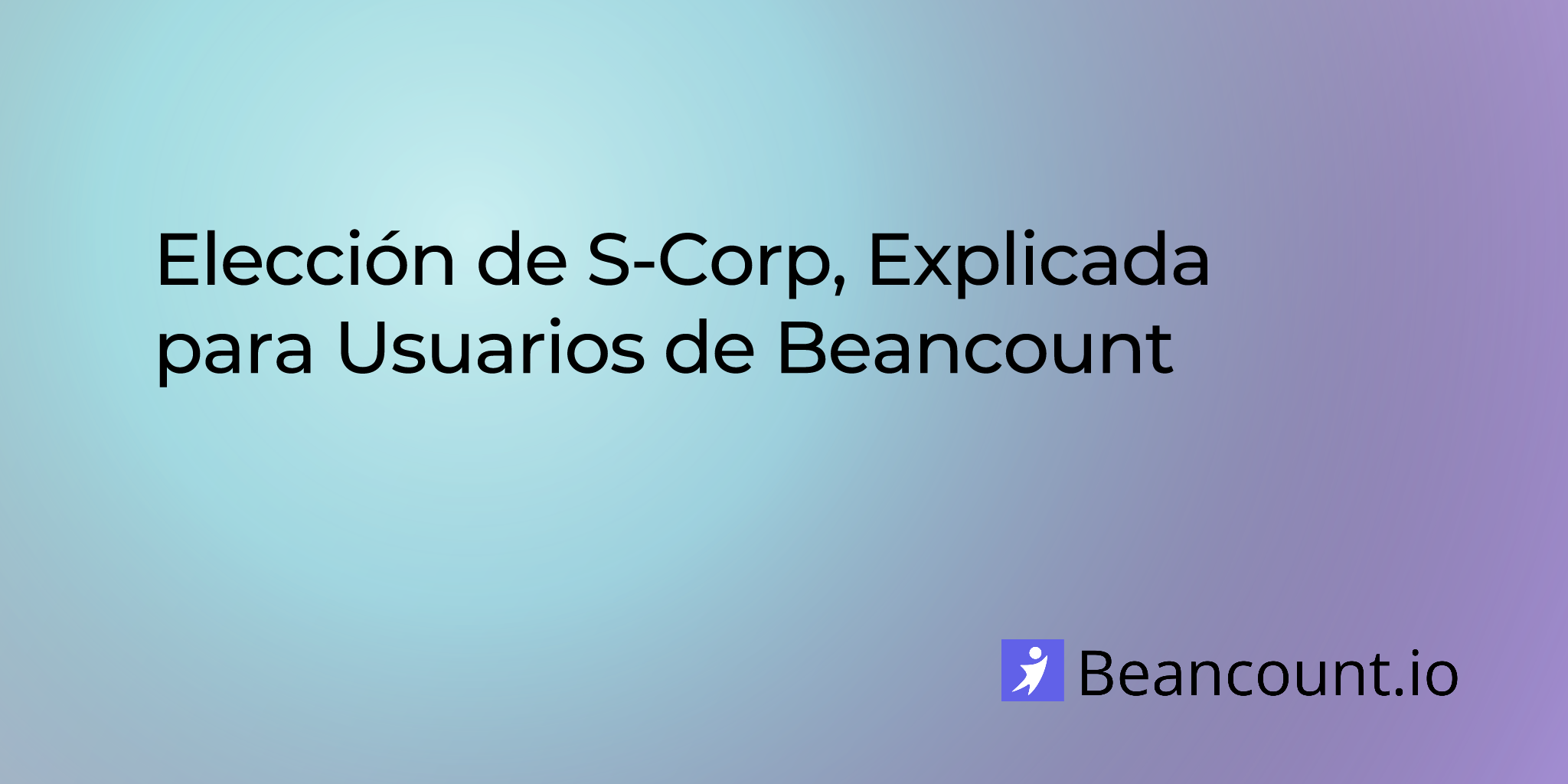 2025-08-08-s-corp-election