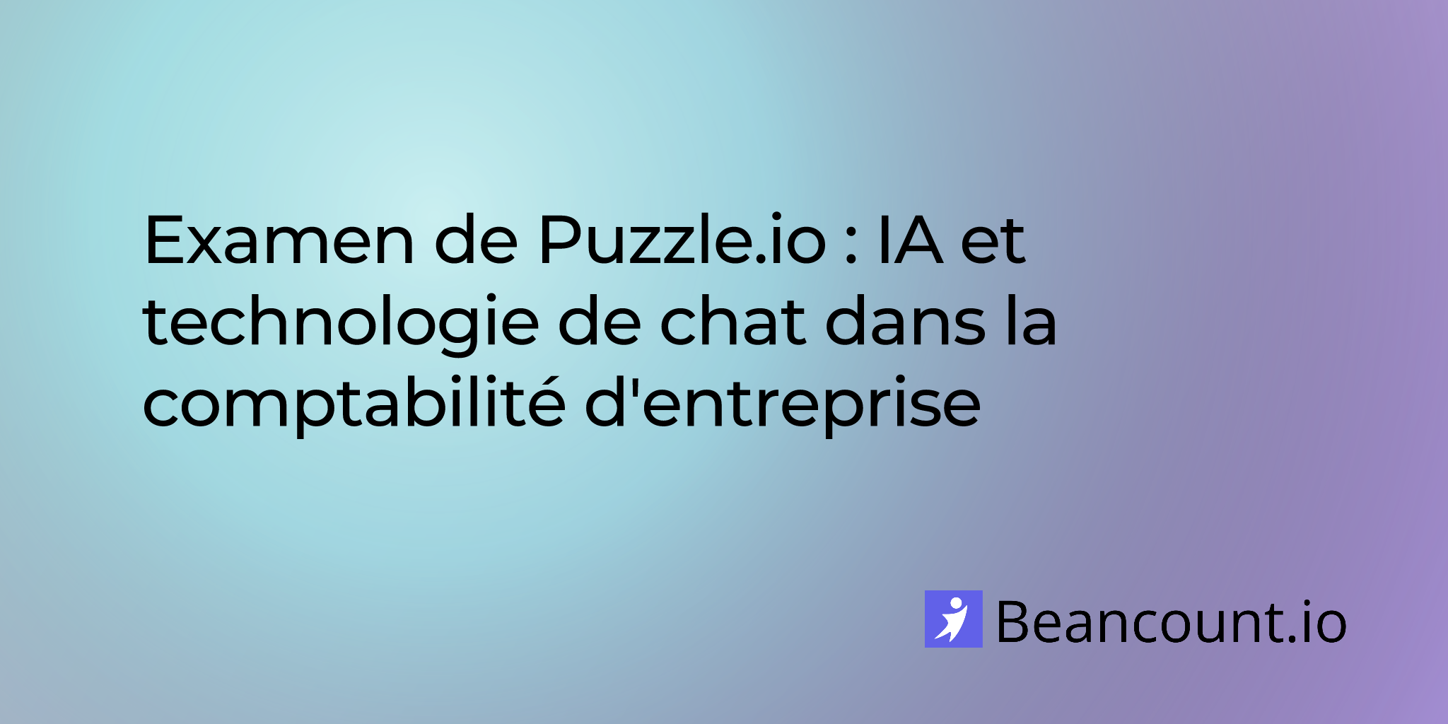Examen de Puzzle.io : IA et technologie de chat dans la comptabilité d'entreprise