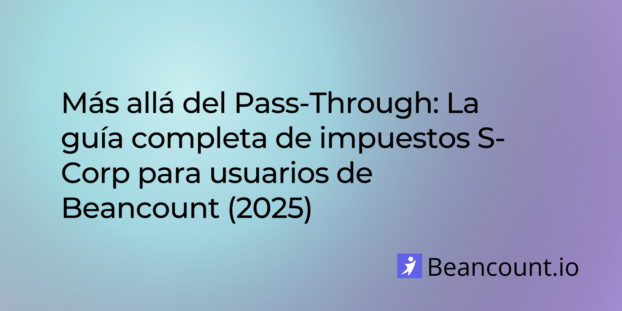 2025-07-26-s-corp-tax-guide-for-beancount-users
