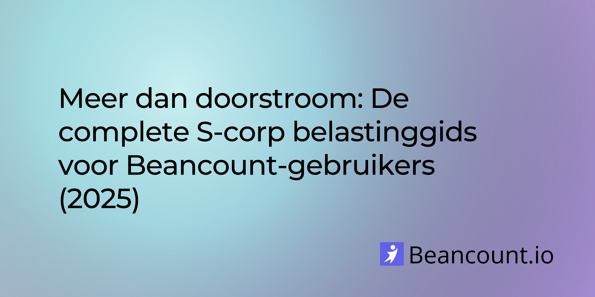 2025-07-26-s-corp-tax-guide-for-beancount-users