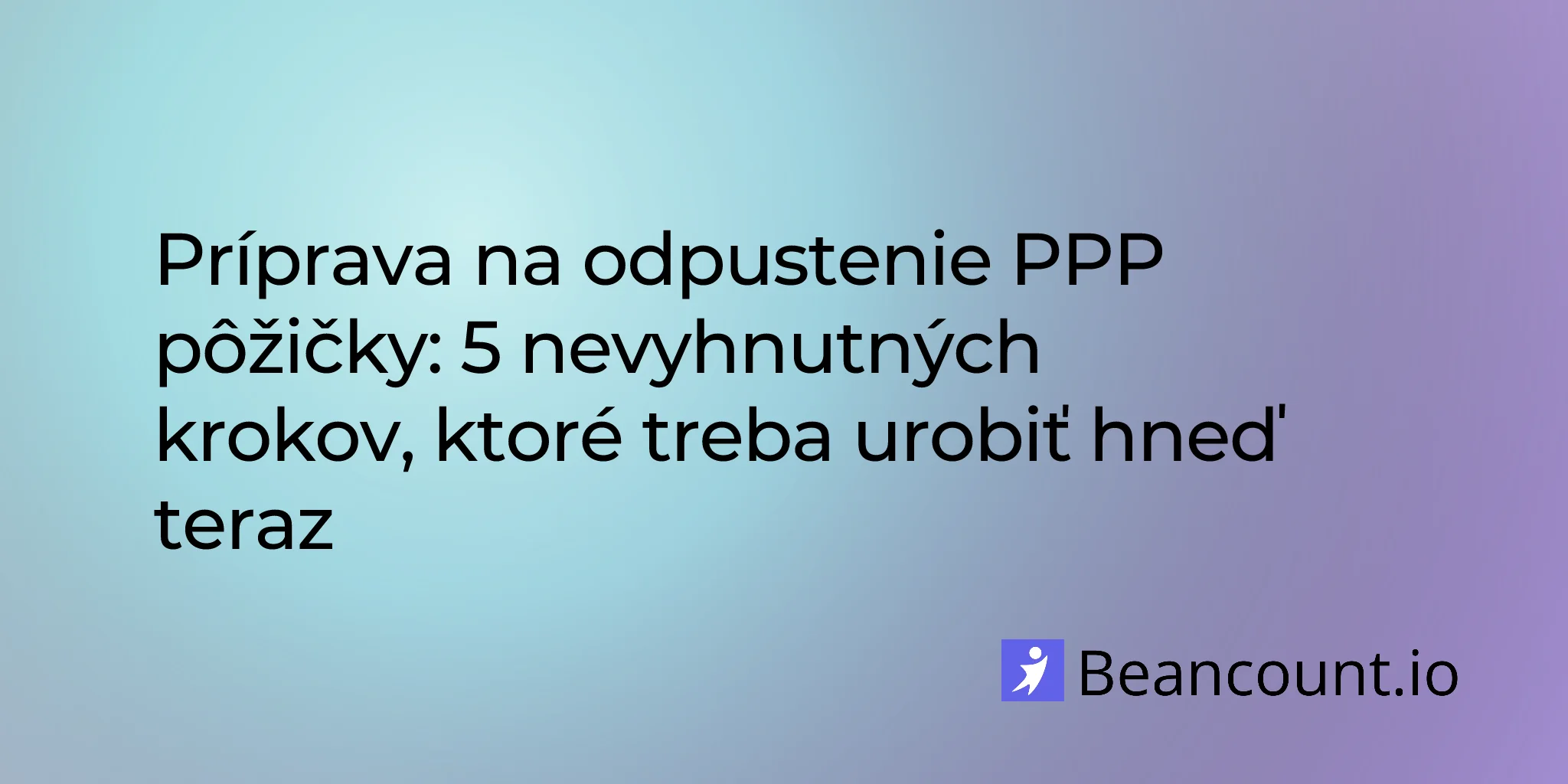 2026-02-18-priprava-na-odpustenie-pozicky-ppp-5-dolezitych-krokov