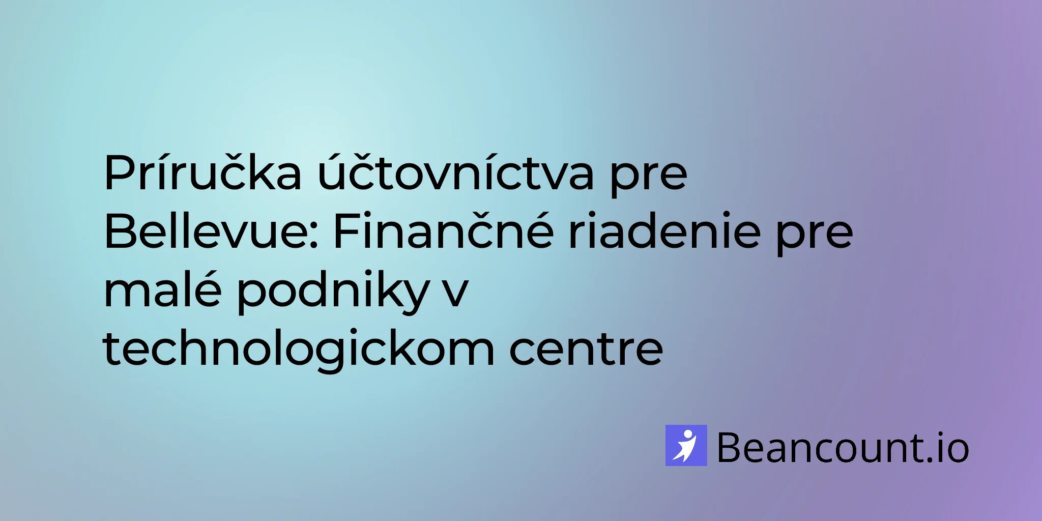 2026-02-24-bellevue-bookkeeping-guide-tech-hub-small-businesses