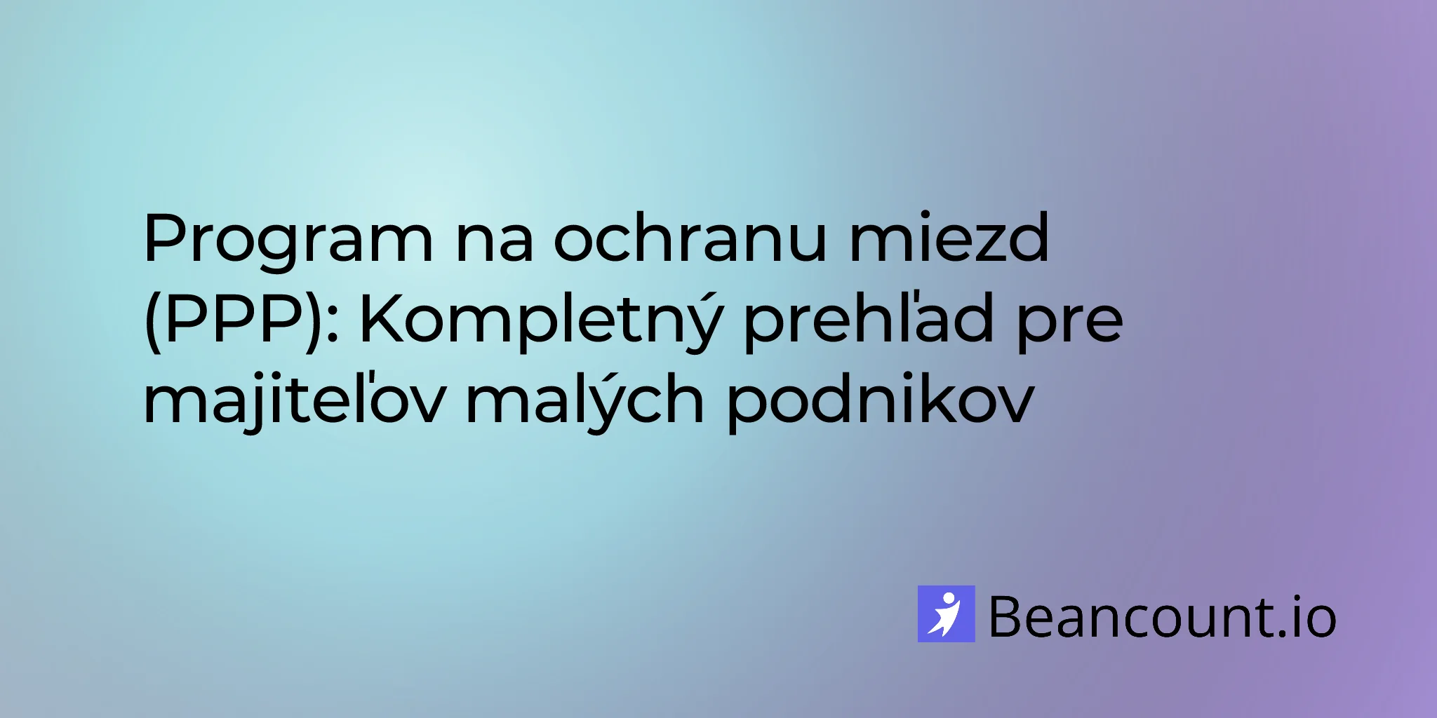 2026-02-13-paycheck-protection-program-complete-overview-guide