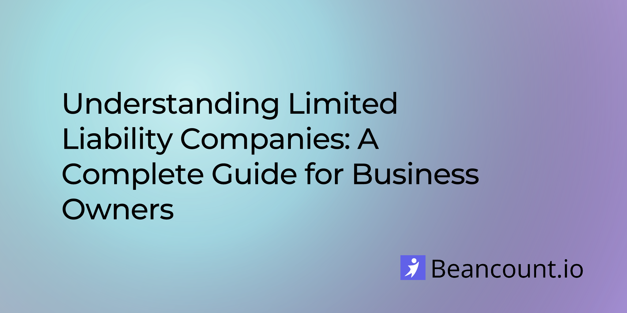 2025-10-23-understanding-limited-liability-companies