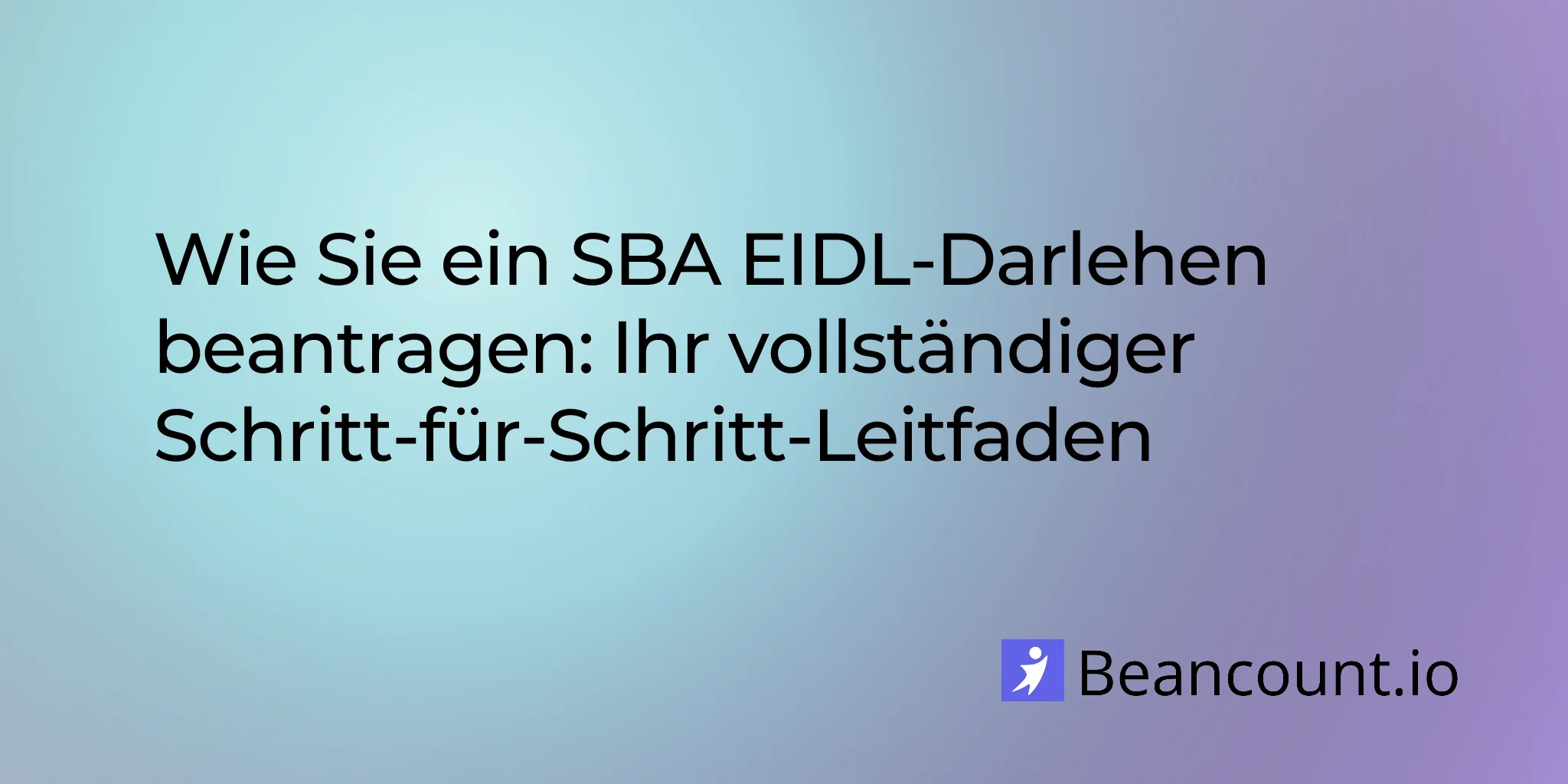 2026-02-08-how-to-apply-for-sba-eidl-loan-complete-guide