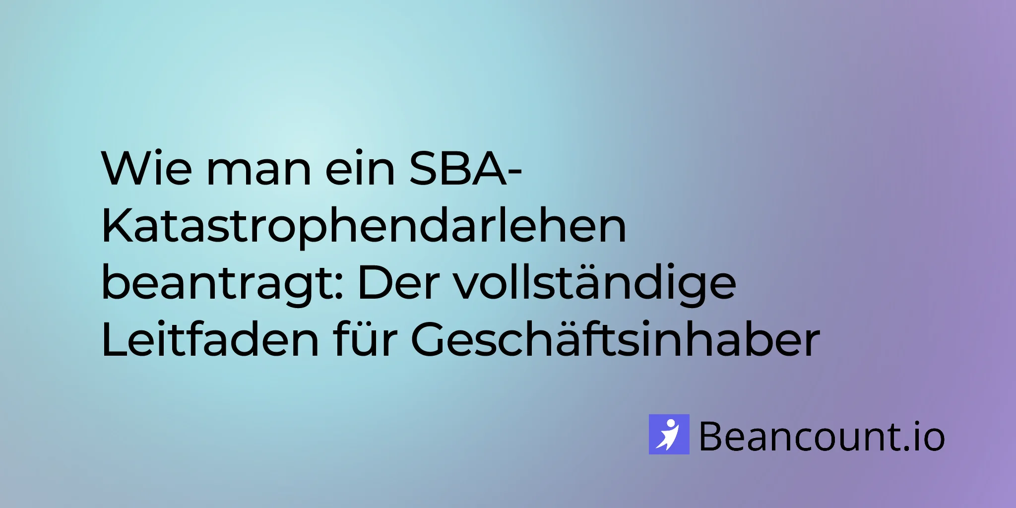 2026-02-10-sba-disaster-loan-application-complete-guide