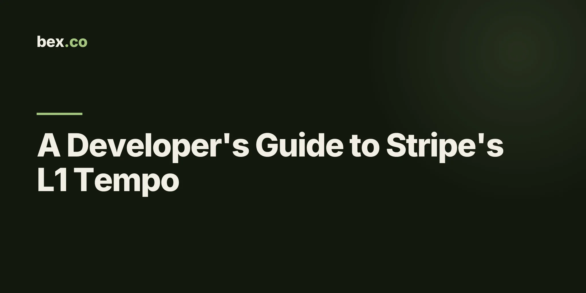 A Developer's Guide to Stripe's L1 Tempo