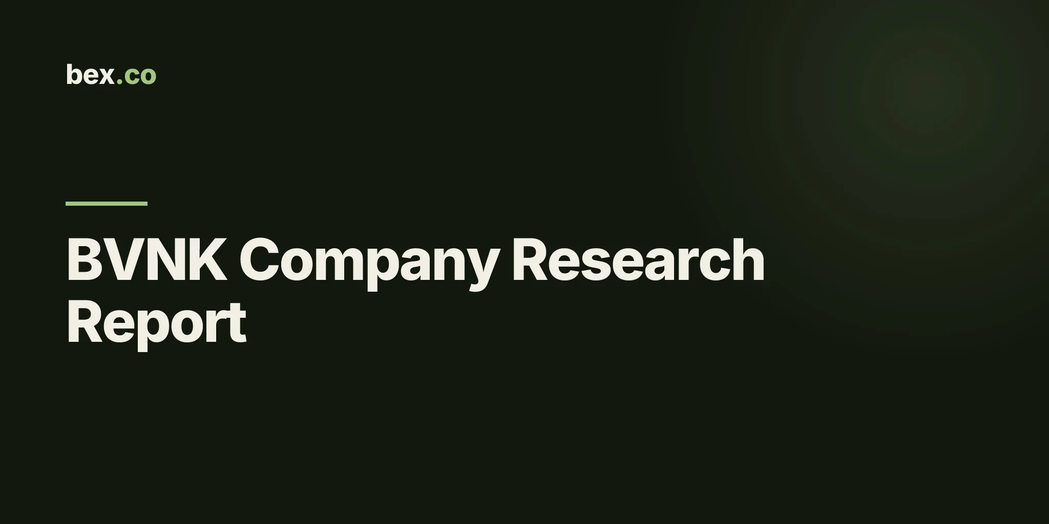 BVNK Company Research Report