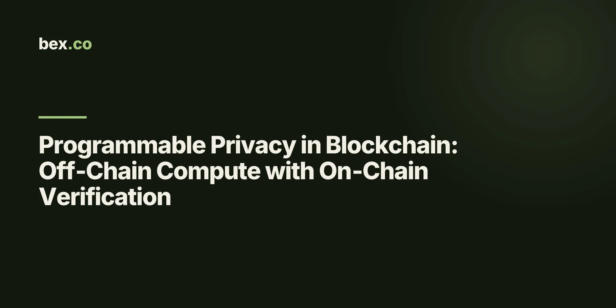 Programmable Privacy in Blockchain: Off‑Chain Compute with On‑Chain Verification