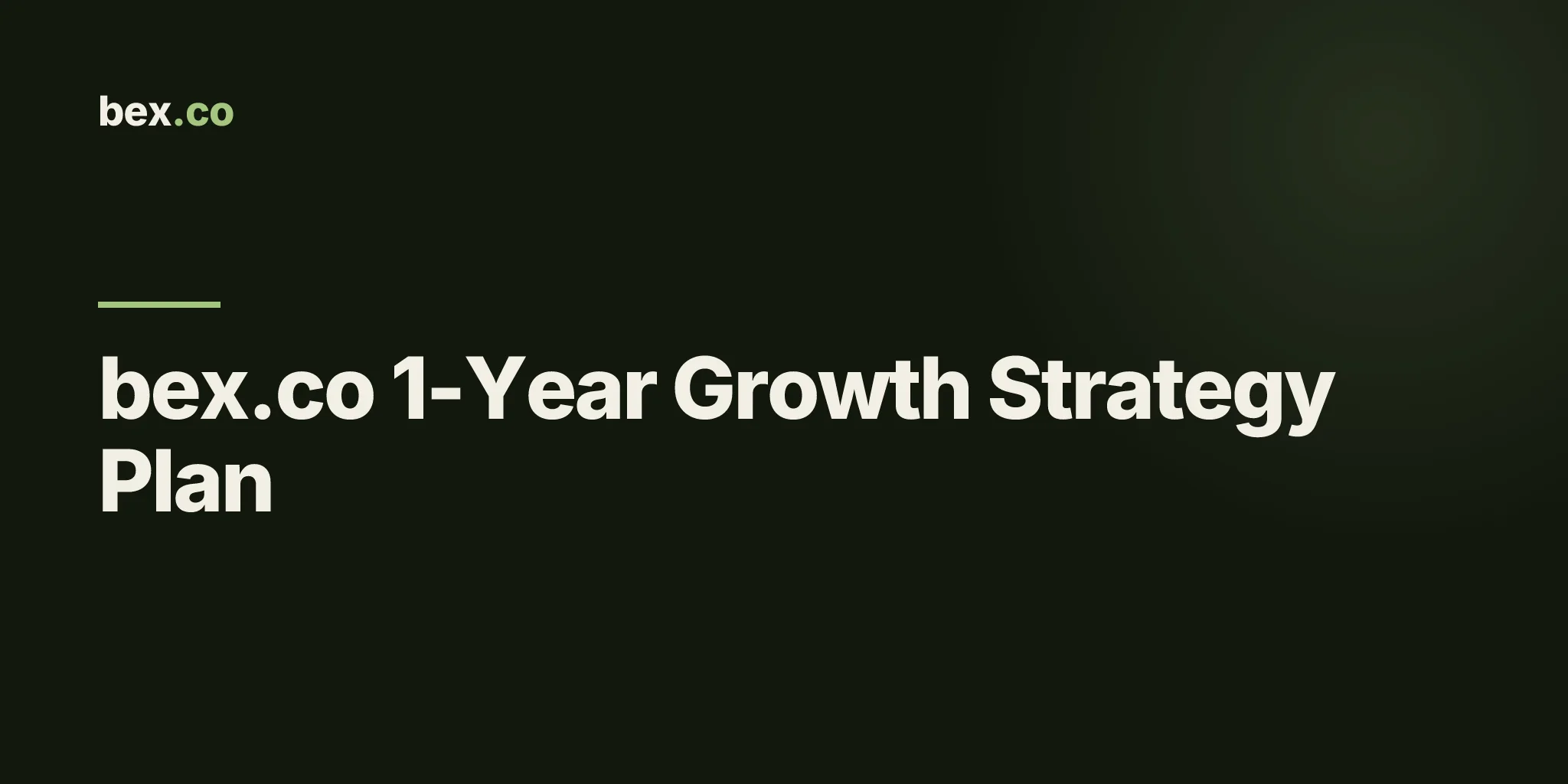 bex.co 1-Year Growth Strategy Plan