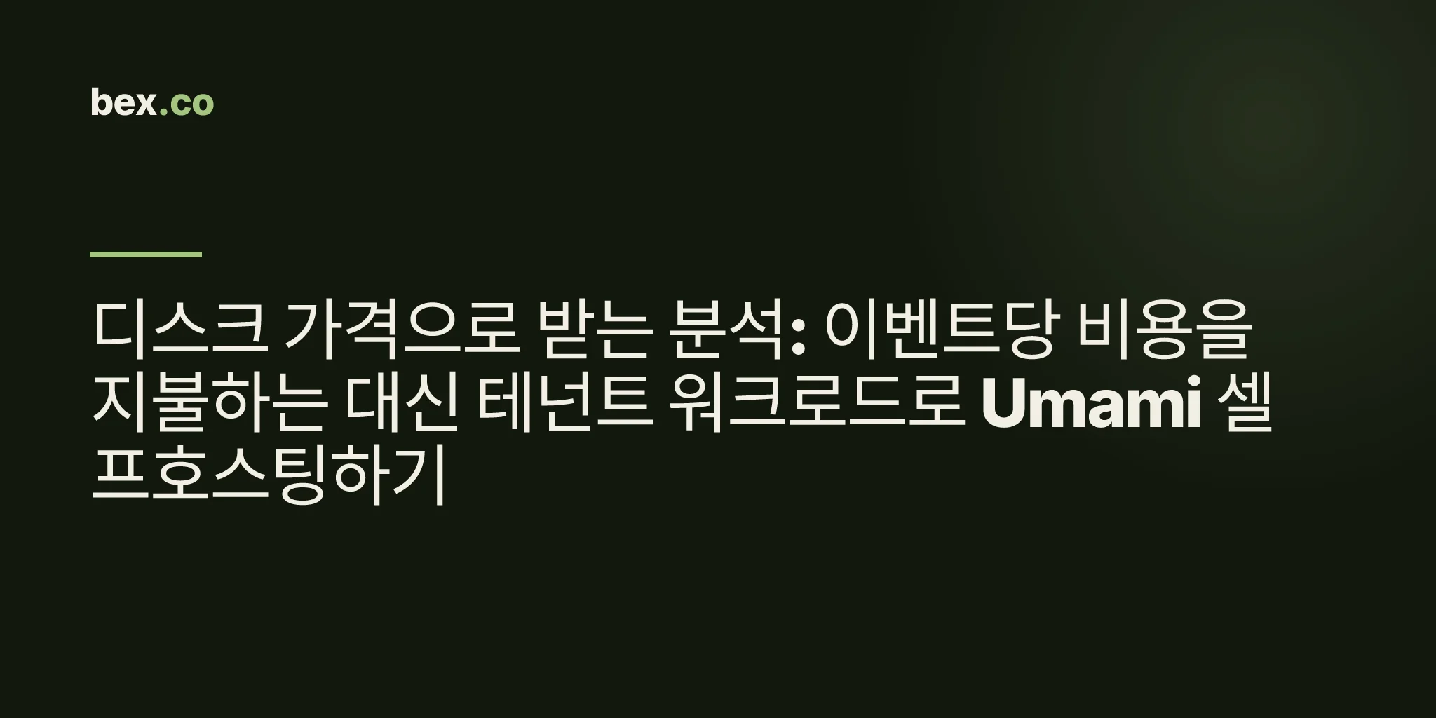 디스크 가격으로 받는 분석: 이벤트당 비용을 지불하는 대신 테넌트 워크로드로 Umami 셀프호스팅하기