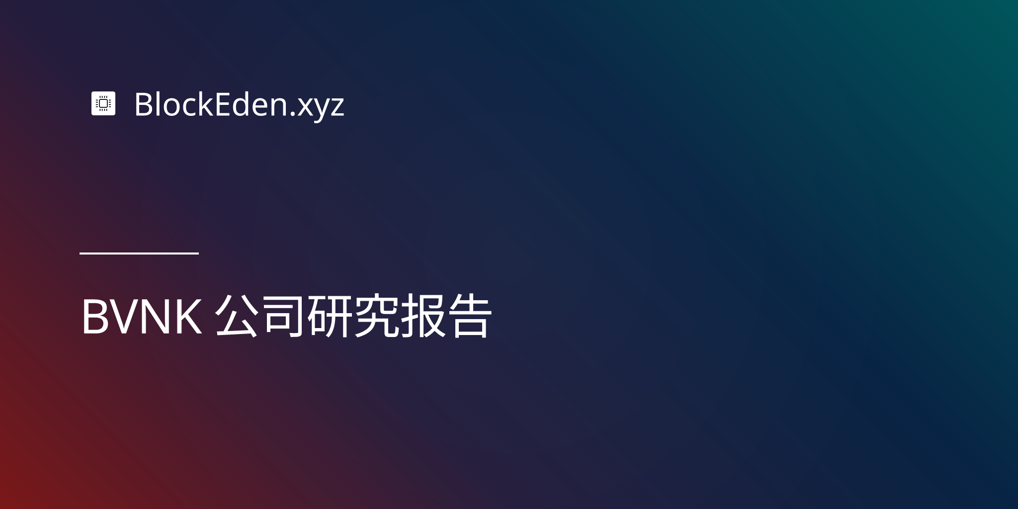 BVNK 公司研究报告