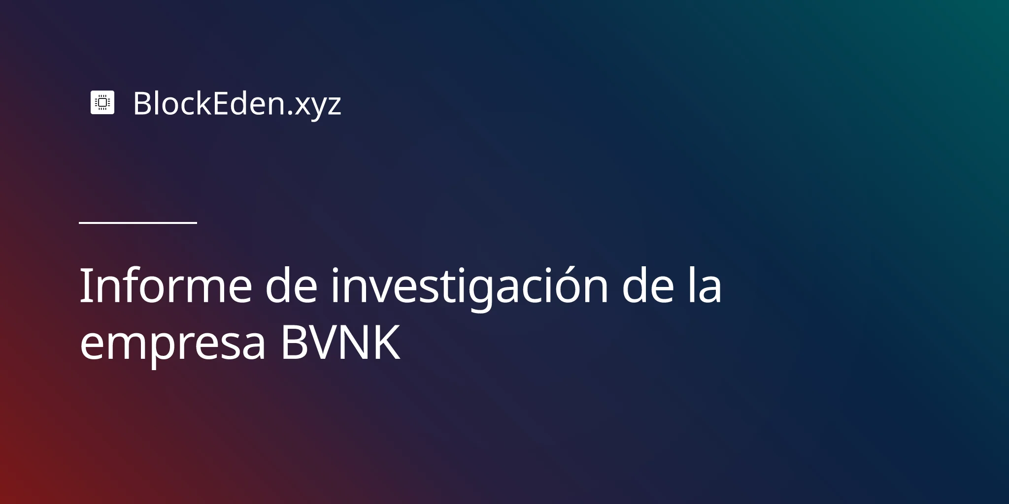 Informe de investigación de la empresa BVNK