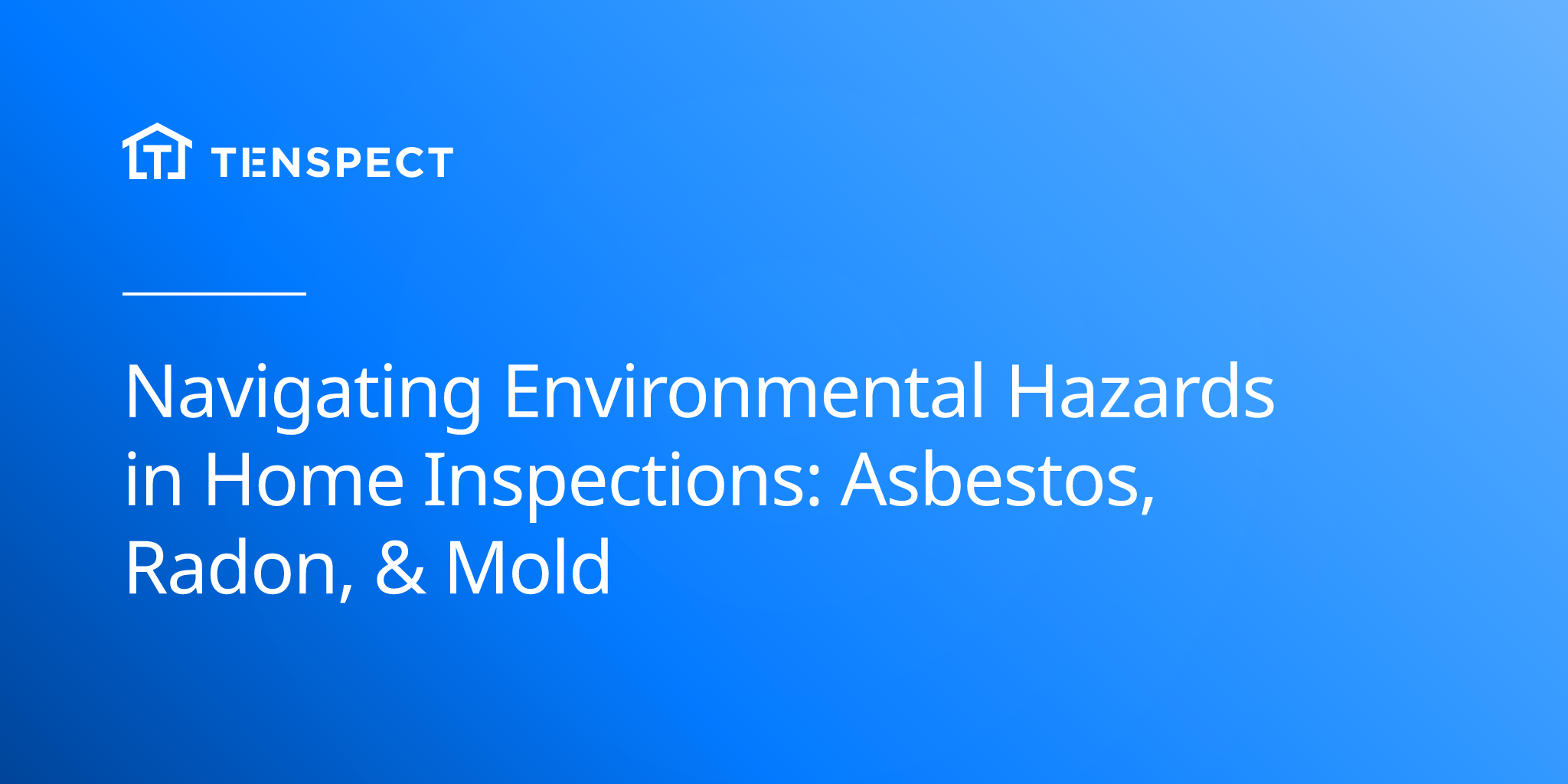 2025-03-10-navigating-environmental-hazards-in-home-inspections
