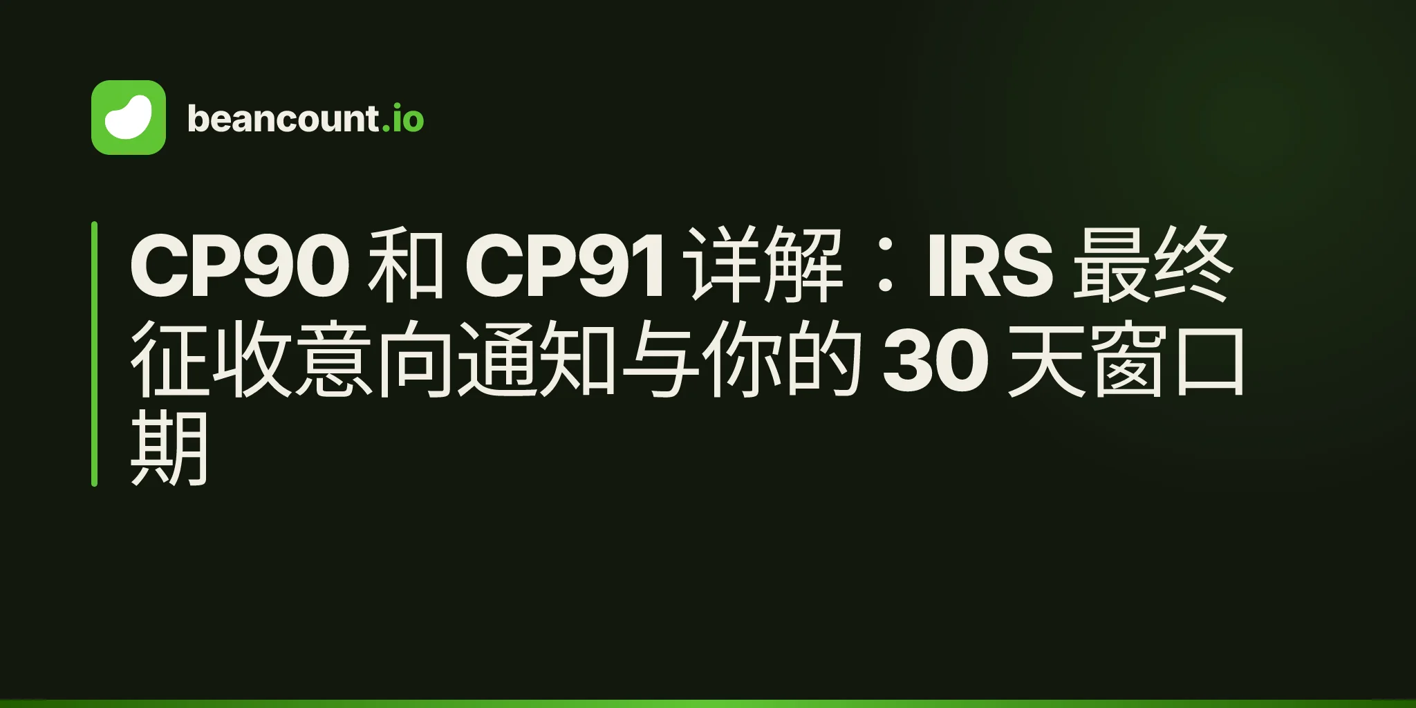 CP90 和 CP91 详解:IRS 最终征收意向通知与你的 30 天窗口期