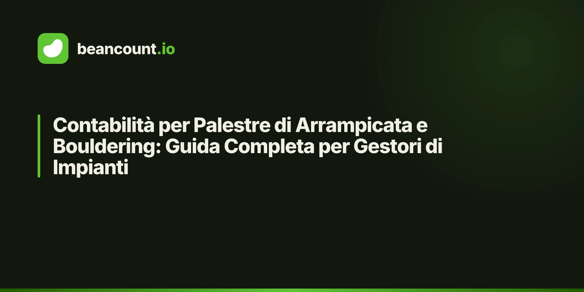 Contabilità per Palestre di Arrampicata e Bouldering: Guida Completa per Gestori di Impianti