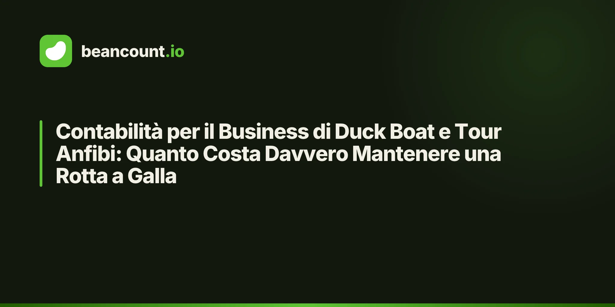 Contabilità per il Business di Duck Boat e Tour Anfibi: Quanto Costa Davvero Mantenere una Rotta a Galla
