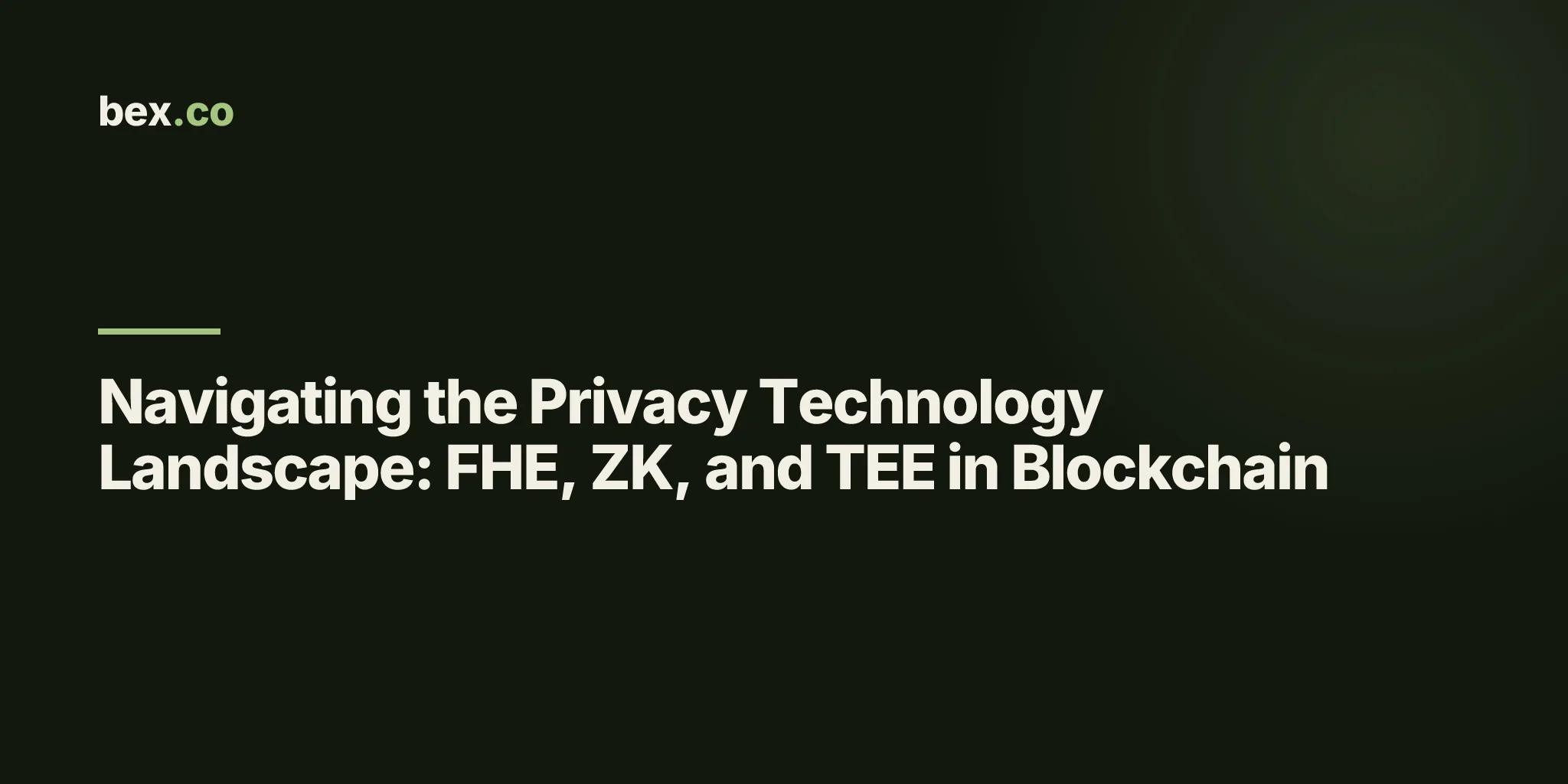 Navigating the Privacy Technology Landscape: FHE, ZK, and TEE in Blockchain