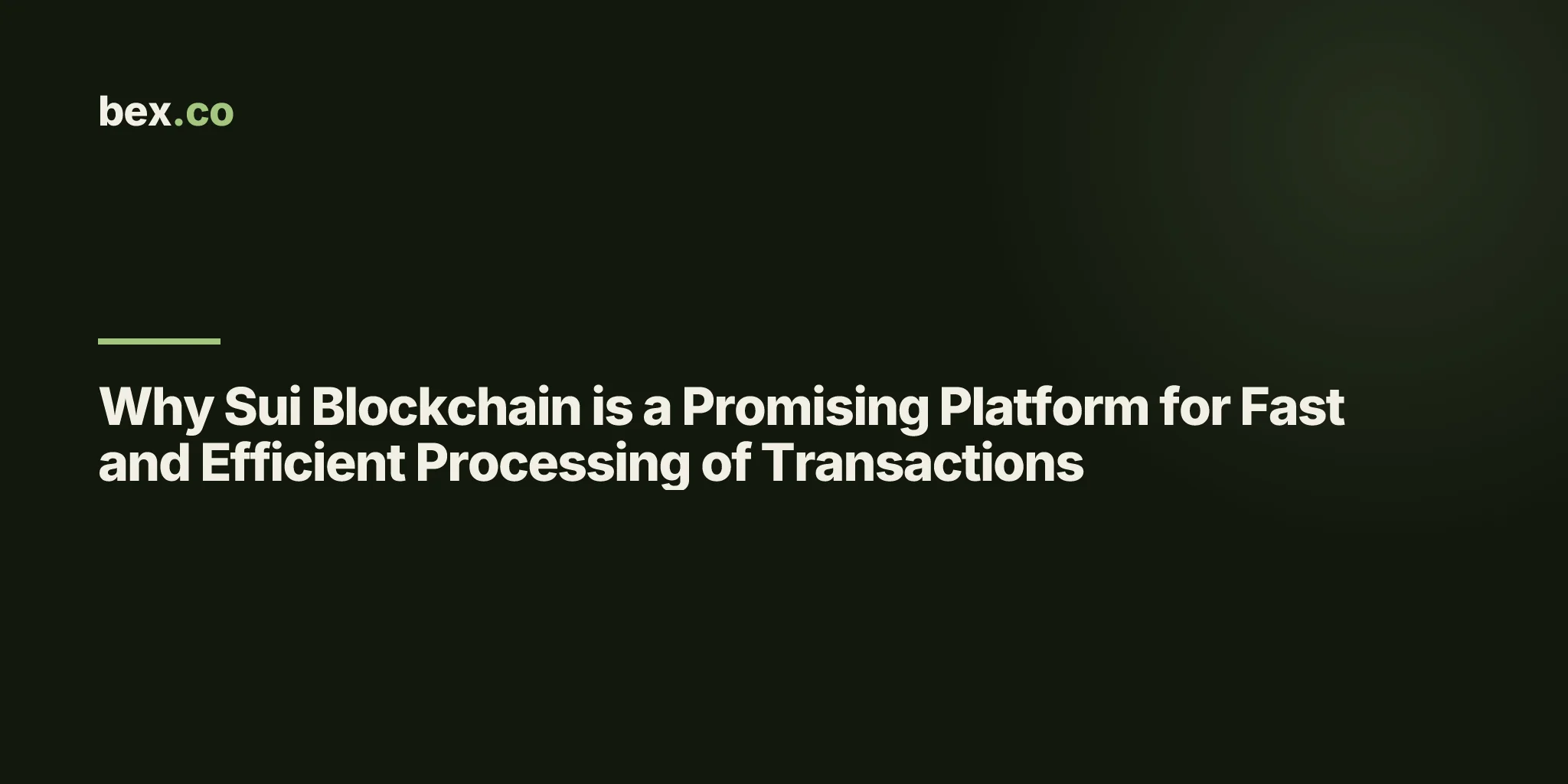Why Sui Blockchain is a Promising Platform for Fast and Efficient Processing of Transactions